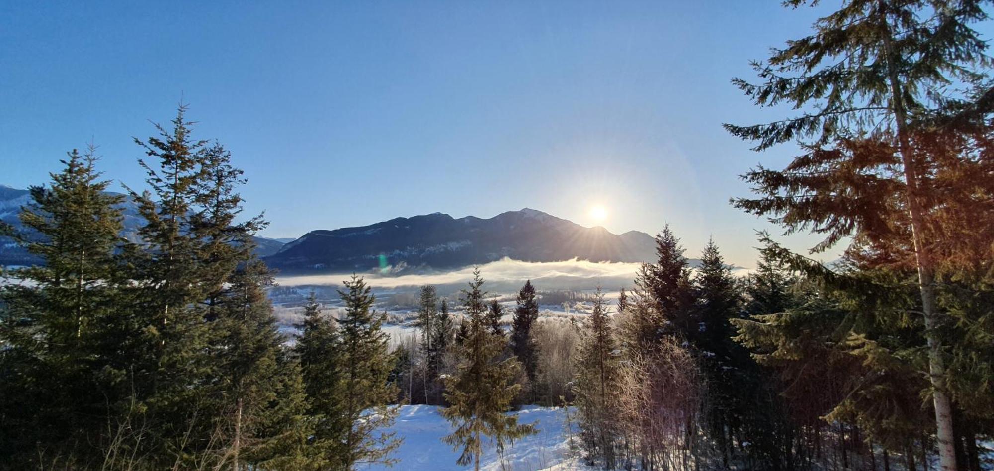Alpine Meadows Lodge Голден Экстерьер фото