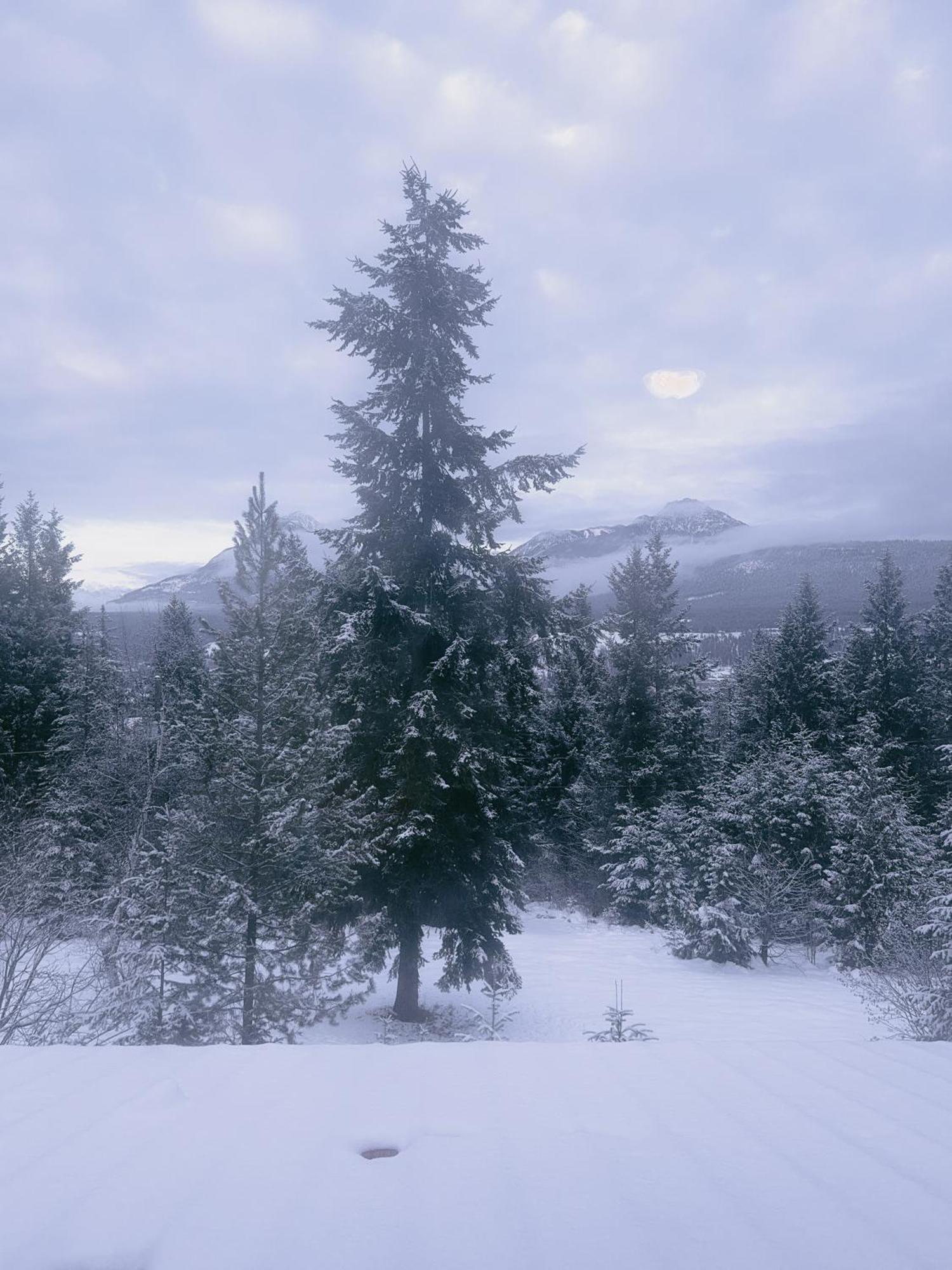 Alpine Meadows Lodge Голден Экстерьер фото